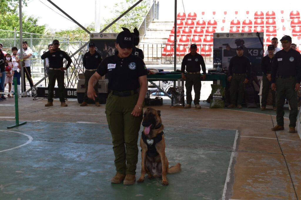 Más De 50 Mil Veracruzanos Han Participado En Encuentros Ciudadanos Por La Seguridad 8113