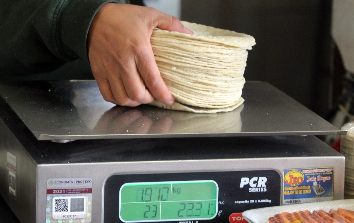 Aumento al precio de la tortilla es inminente, productores acordarán el precio